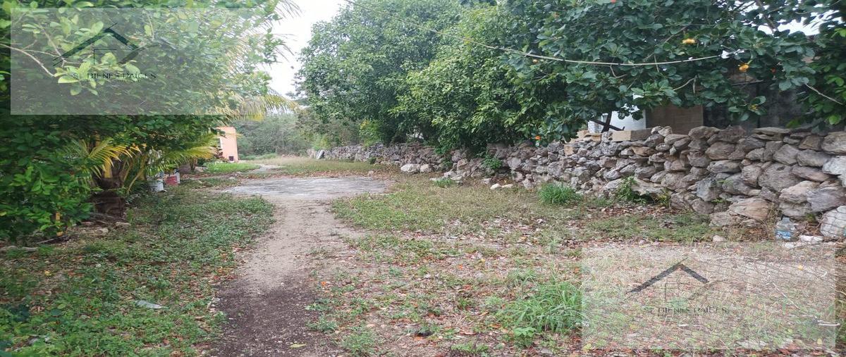 Foto de terreno habitacional en venta en  , xcanatún, mérida, yucatán, 0 No. 05