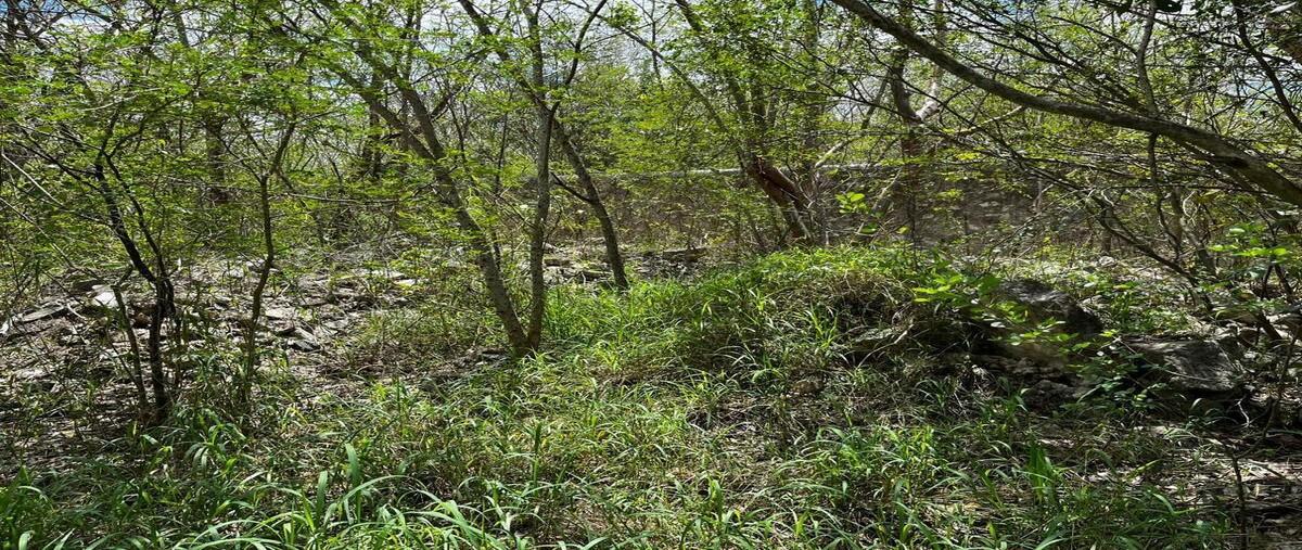 Foto de terreno habitacional en venta en  , xcanatún, mérida, yucatán, 0 No. 03