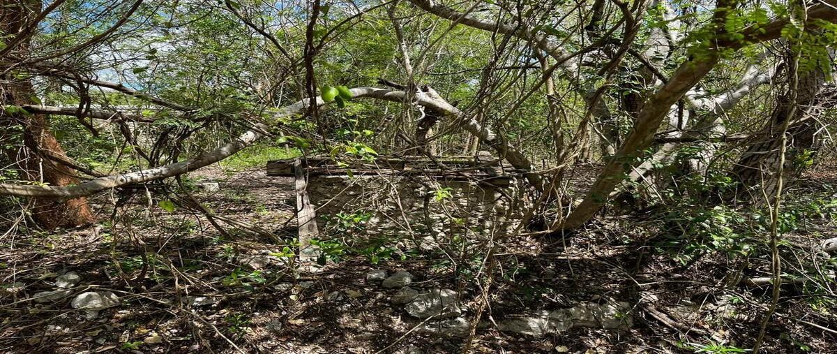 Foto de terreno habitacional en venta en  , xcanatún, mérida, yucatán, 0 No. 05