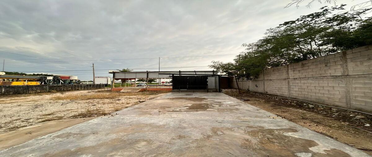 Foto de terreno comercial en renta en  , xcanatún, mérida, yucatán, 30231964 No. 05