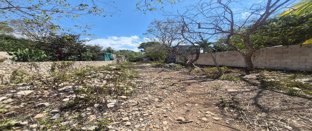 Foto de terreno habitacional en venta en  , xcanatún, mérida, yucatán, 0 No. 04