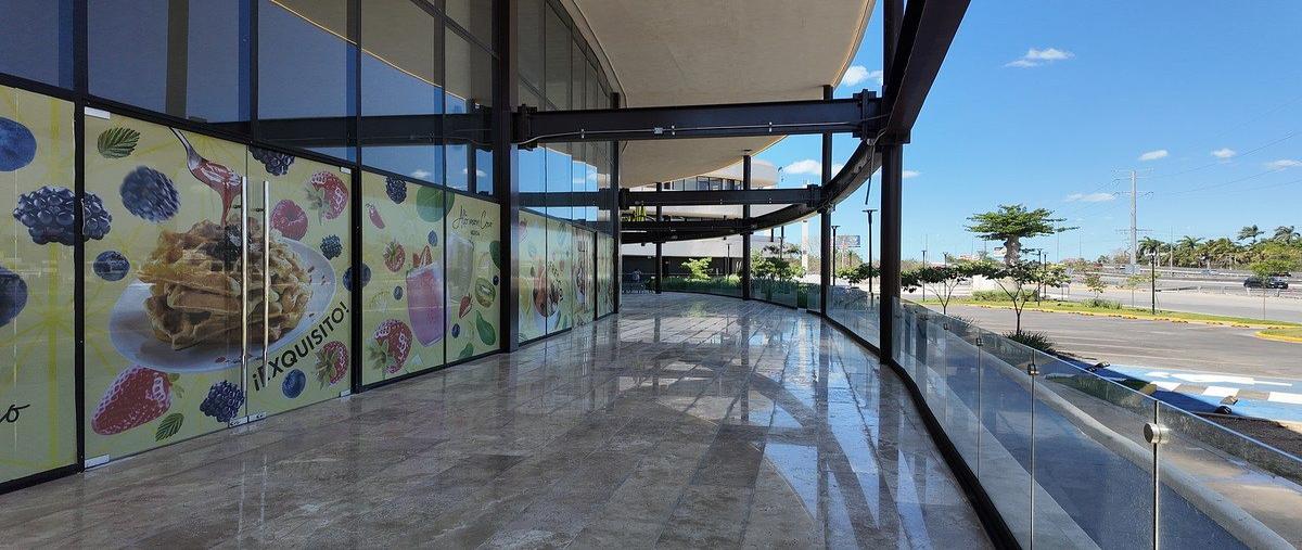 Foto de local en renta en  , xcanatún, mérida, yucatán, 0 No. 04