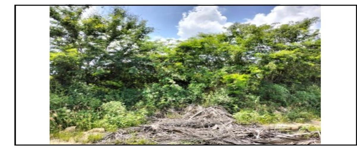 Foto de terreno habitacional en venta en xcanatun whi310798, xcanatún, mérida, yucatán, 0 No. 03