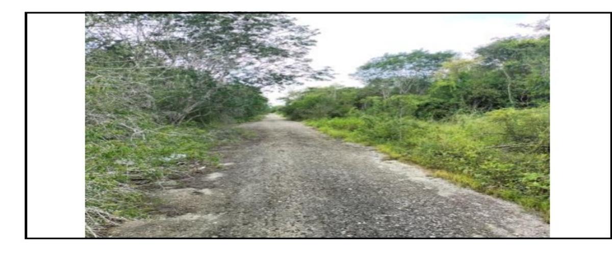 Foto de terreno habitacional en venta en xcanatun whi310798, xcanatún, mérida, yucatán, 0 No. 04