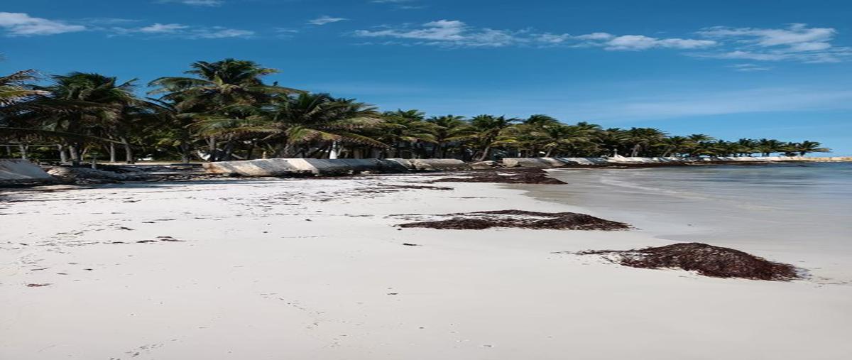 Foto de terreno habitacional en venta en --- , xcaret, solidaridad, quintana roo, 16512930 No. 05