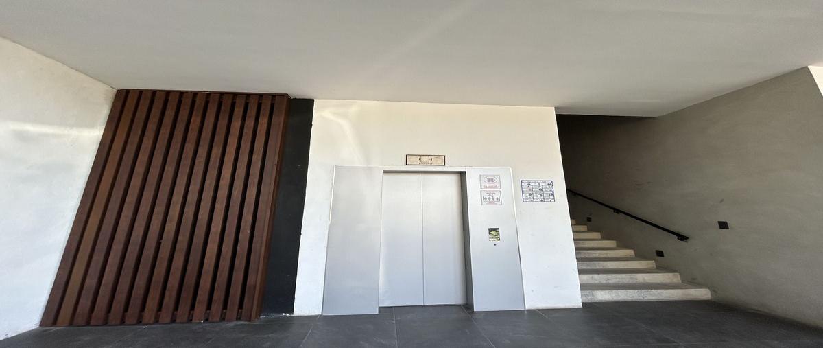 Foto de local en renta en  , xcumpich, mérida, yucatán, 0 No. 05