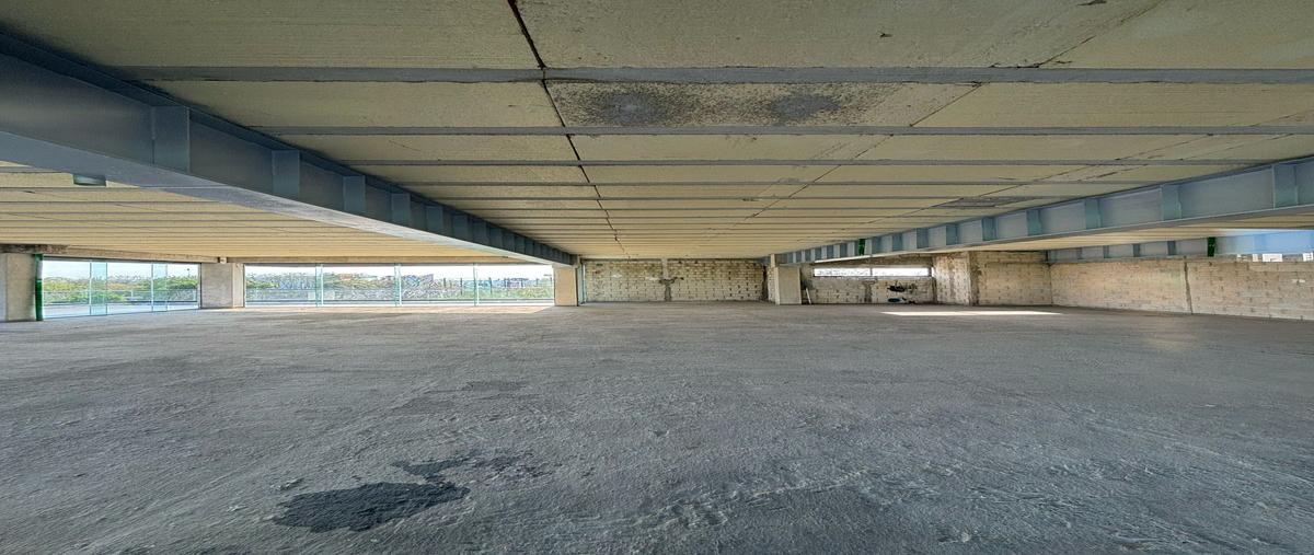 Foto de local en , xcumpich, mérida, yucatán, 29513598 foto 02 Foto de local en renta en , xcumpich, mérida, yucatán, 29513598 No. 02