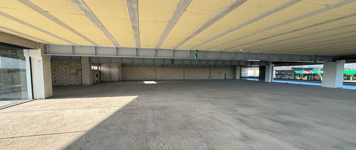 Foto de local en , xcumpich, mérida, yucatán, 29513598 foto 05 Foto de local en renta en , xcumpich, mérida, yucatán, 29513598 No. 05