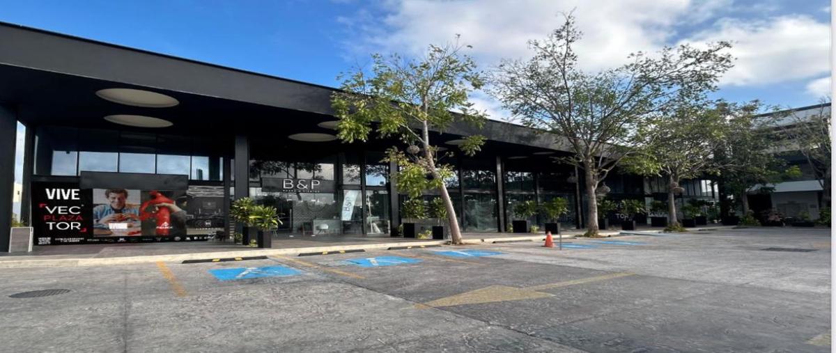 Foto de local en , xcumpich, mérida, yucatán, 0 foto 03 Foto de local en renta en , xcumpich, mérida, yucatán, 0 No. 03