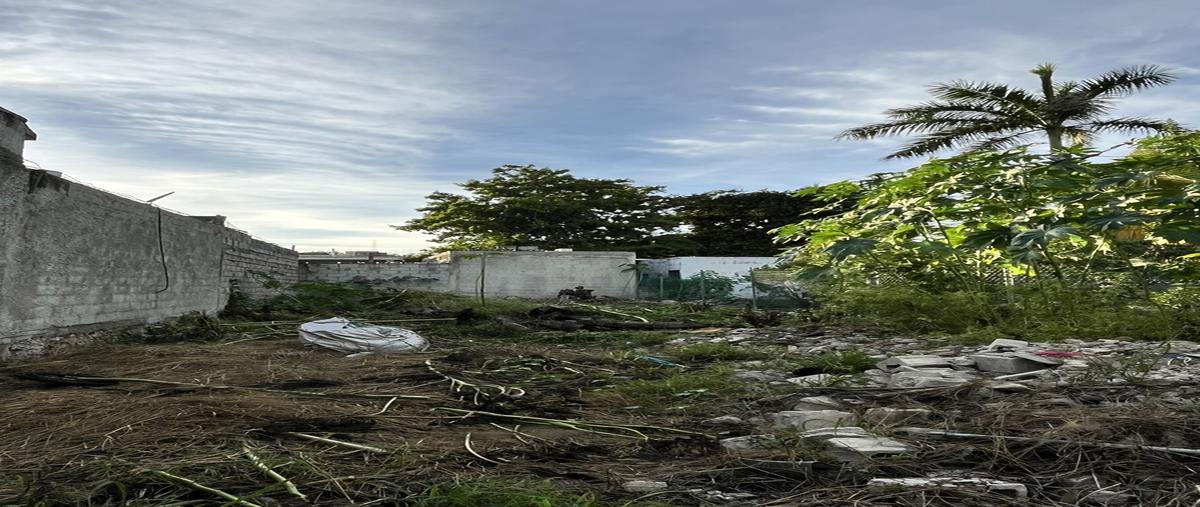 Foto de terreno habitacional en venta en . , xcumpich, mérida, yucatán, 0 No. 04