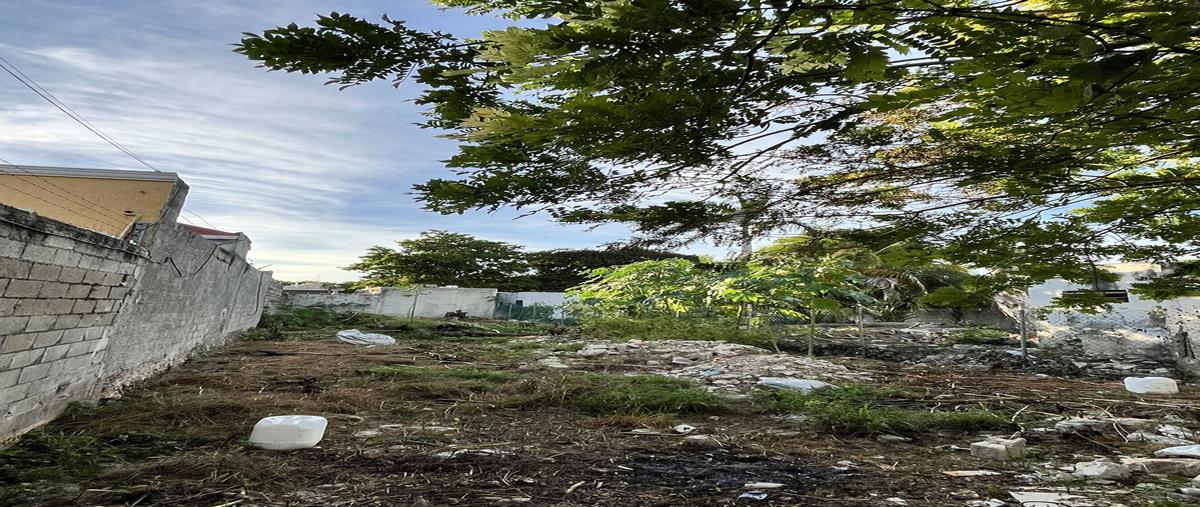 Foto de terreno habitacional en venta en . , xcumpich, mérida, yucatán, 0 No. 05