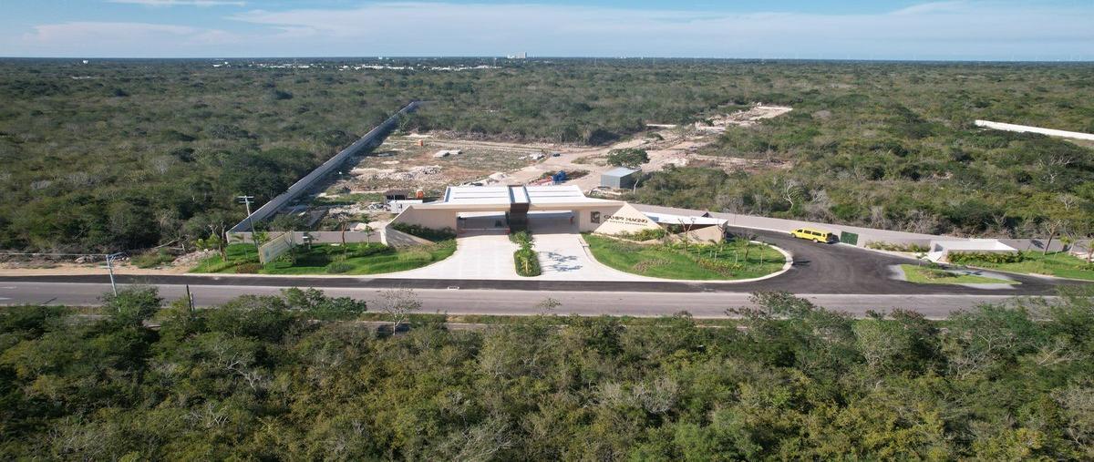 Foto de terreno habitacional en venta en  , xcunyá, mérida, yucatán, 20182020 No. 03