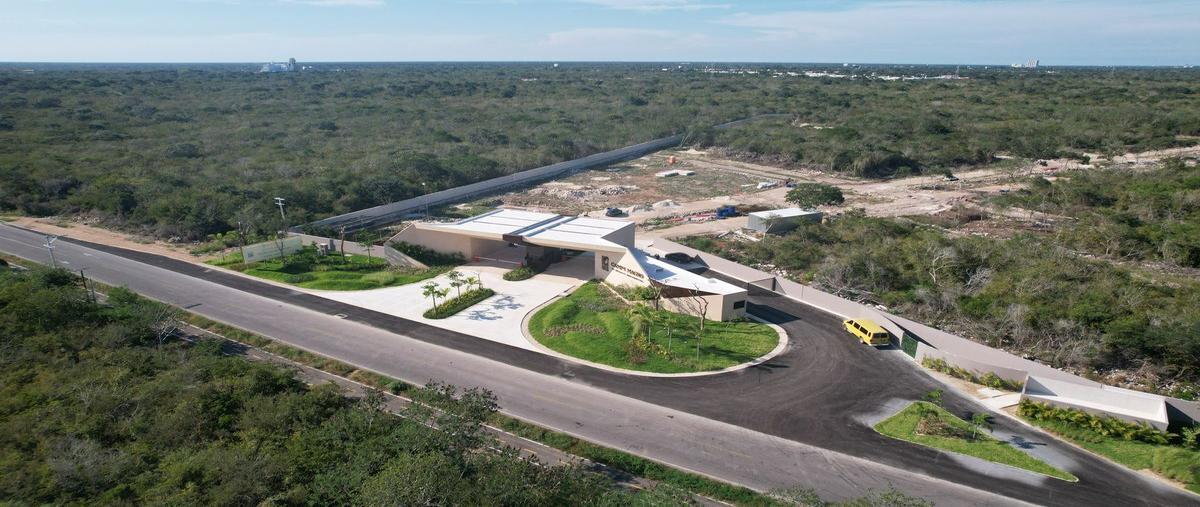 Foto de terreno habitacional en venta en  , xcunyá, mérida, yucatán, 20182020 No. 05