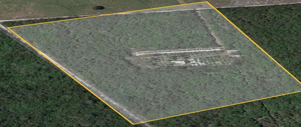 Foto de rancho en venta en  , xcunyá, mérida, yucatán, 27892494 No. 03