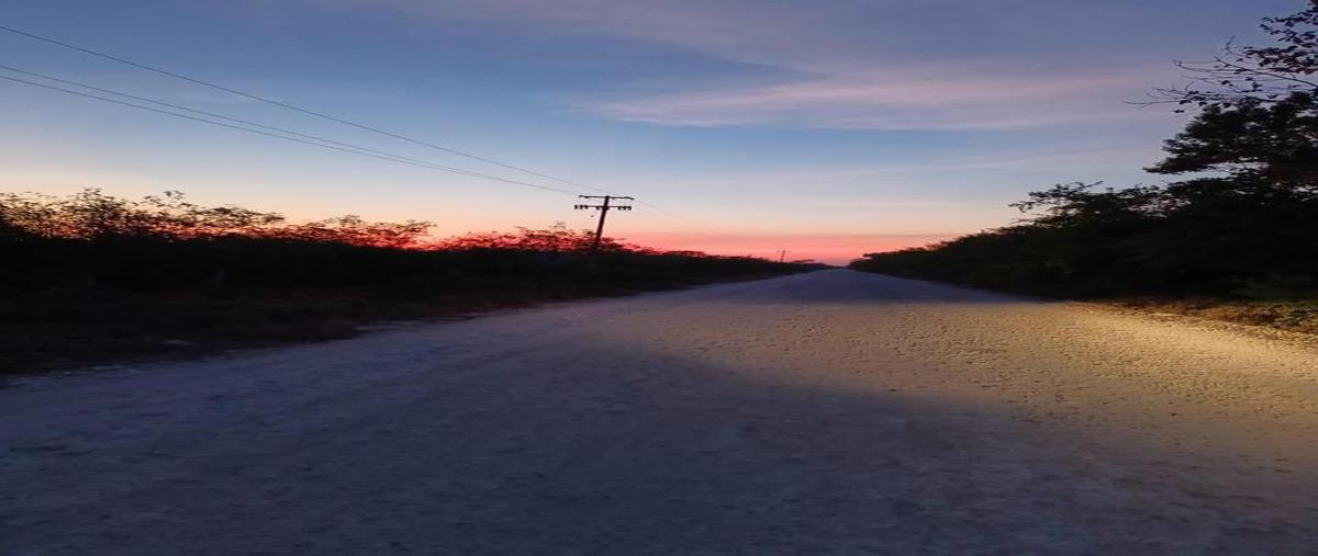 Foto de rancho en venta en  , xcunyá, mérida, yucatán, 27892494 No. 05