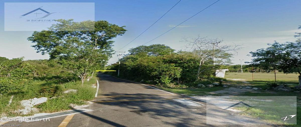 Foto de terreno habitacional en venta en  , xcunyá, mérida, yucatán, 0 No. 03