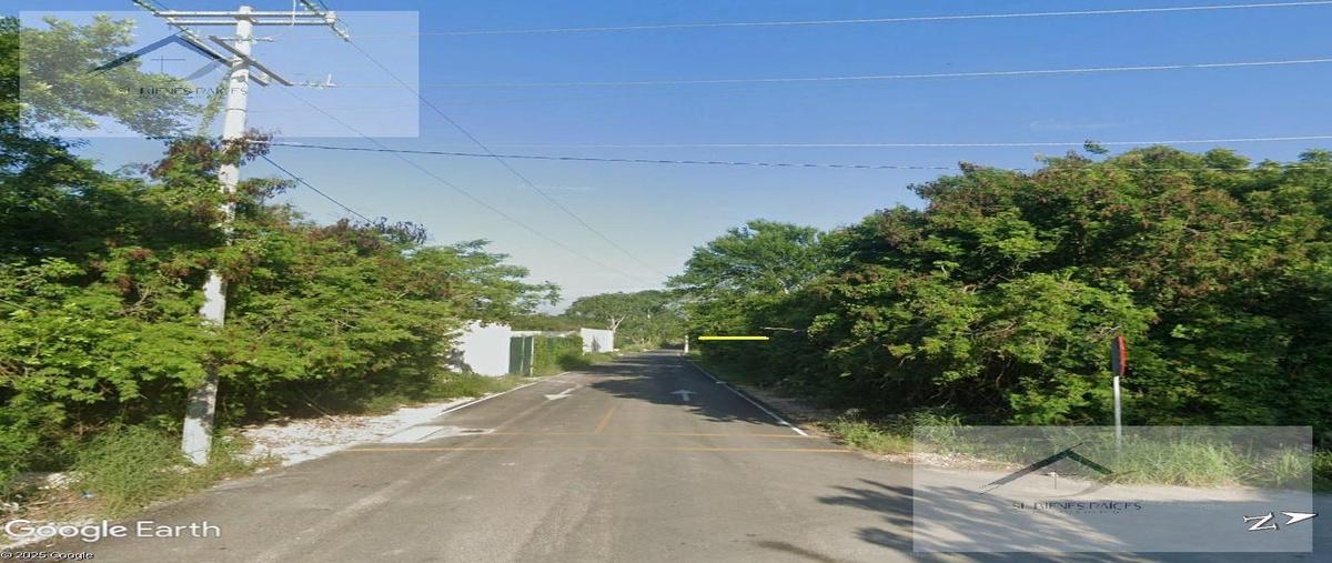 Foto de terreno habitacional en venta en  , xcunyá, mérida, yucatán, 0 No. 04