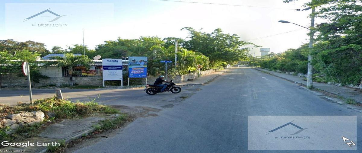 Foto de terreno habitacional en venta en  , xcunyá, mérida, yucatán, 0 No. 05