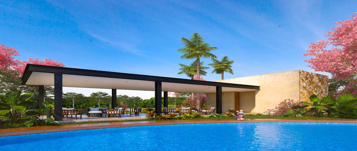 Foto de terreno habitacional en , xcunyá, mérida, yucatán, 0 foto 01 Foto de terreno habitacional en venta en , xcunyá, mérida, yucatán, 0 No. 01