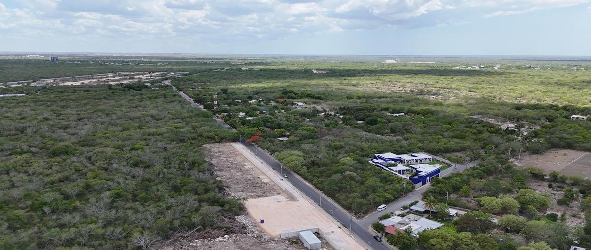 Foto de terreno habitacional en venta en  , xcunyá, mérida, yucatán, 0 No. 03