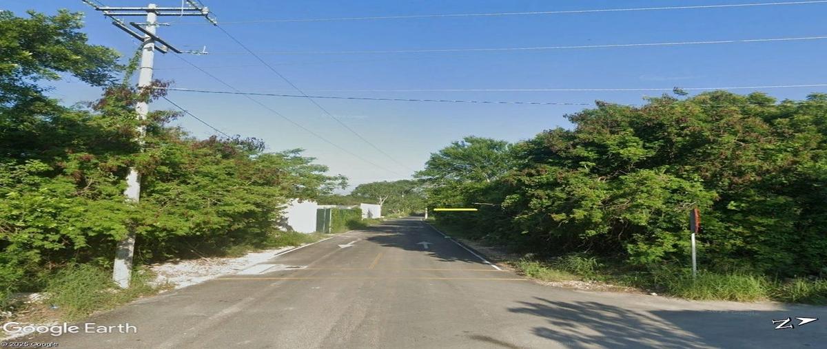 Foto de terreno habitacional en venta en  , xcunyá, mérida, yucatán, 0 No. 05