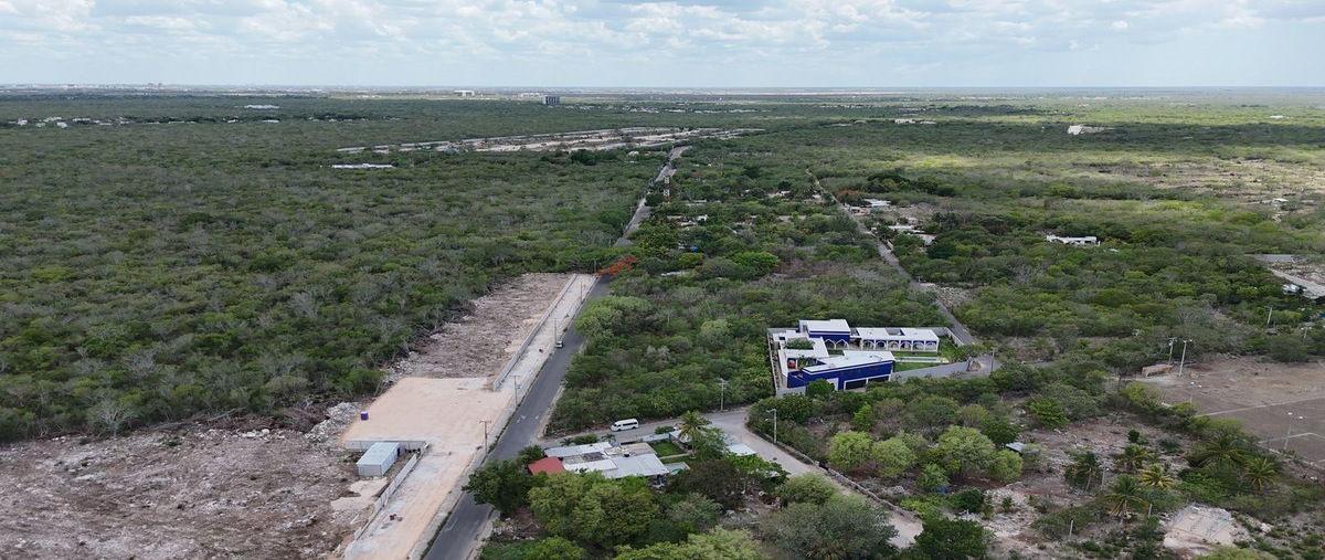 Foto de terreno habitacional en venta en  , xcunyá, mérida, yucatán, 30609655 No. 05