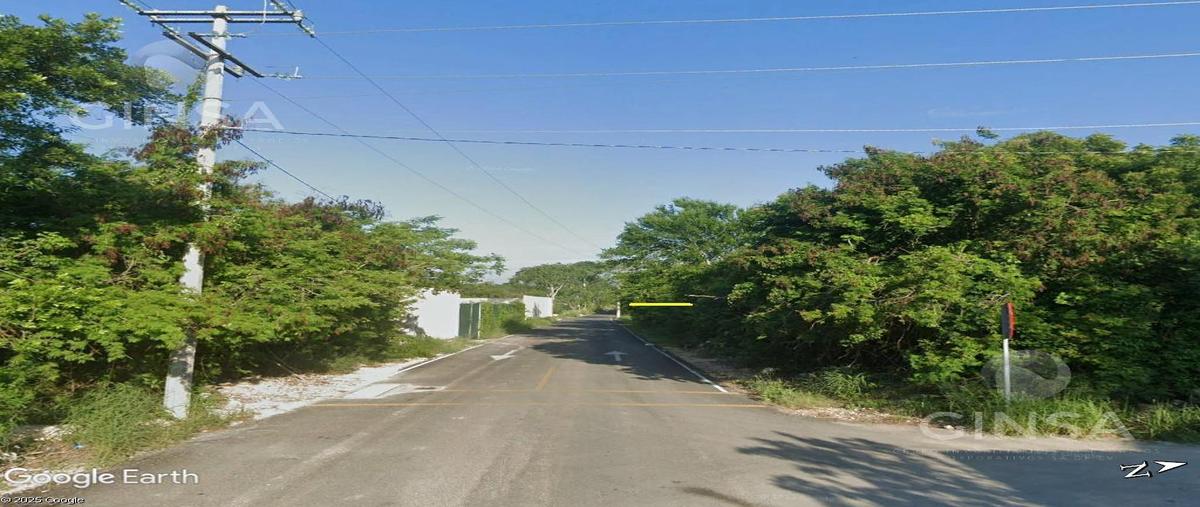 Foto de terreno habitacional en venta en  , xcunyá, mérida, yucatán, 0 No. 03