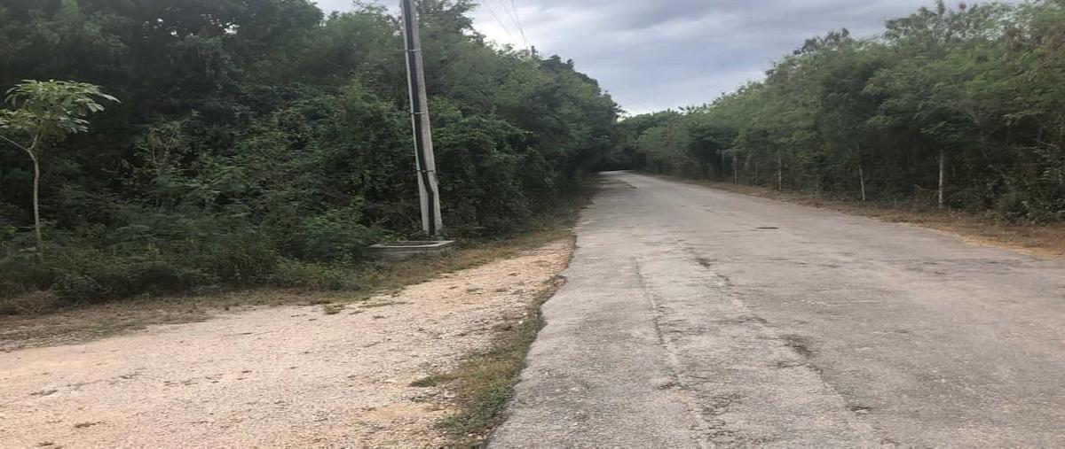 Foto de terreno habitacional en venta en  , xcunyá, mérida, yucatán, 0 No. 04