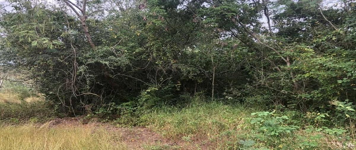 Foto de terreno habitacional en venta en  , xcunyá, mérida, yucatán, 0 No. 05