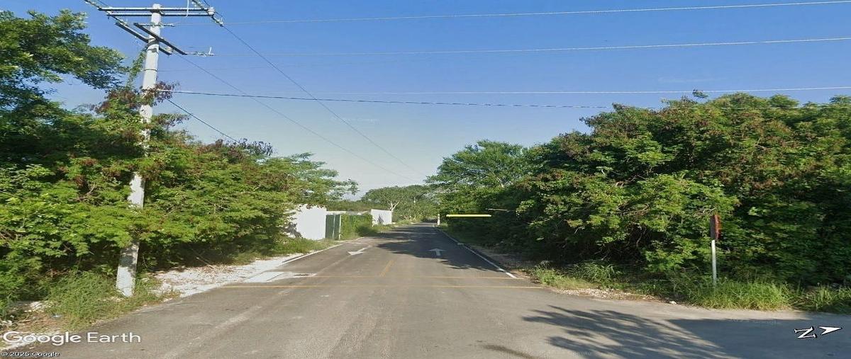 Foto de terreno habitacional en venta en xcunya , xcunyá, mérida, yucatán, 31081716 No. 05