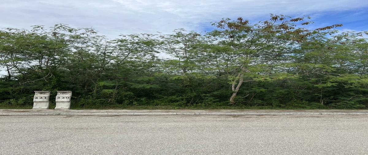 Foto de terreno habitacional en venta en  , x-cuyum, conkal, yucatán, 27350588 No. 03