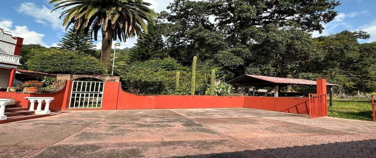 Foto de rancho en venta en xicalango , naopa, molango de escamilla, hidalgo, 29080067 No. 04