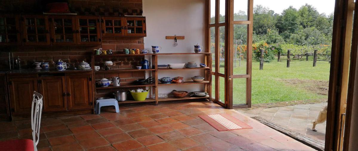 Foto de terreno habitacional en venta en  , xico, xico, veracruz de ignacio de la llave, 11289103 No. 03