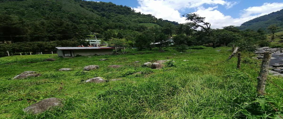 Foto de terreno habitacional en venta en  , xico, xico, veracruz de ignacio de la llave, 0 No. 03
