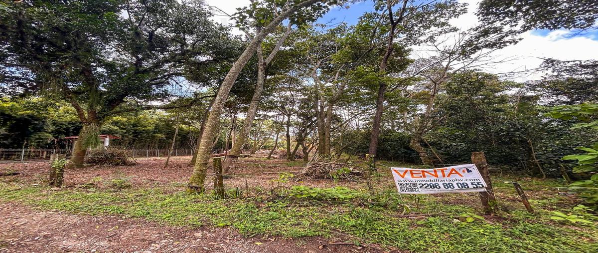 Foto de terreno habitacional en , xico, xico, veracruz de ignacio de la llave, 27750615 foto 02 Foto de terreno habitacional en venta en , xico, xico, veracruz de ignacio de la llave, 27750615 No. 02