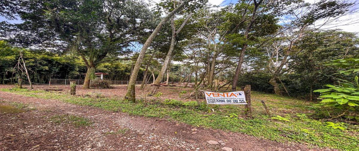 Foto de terreno habitacional en , xico, xico, veracruz de ignacio de la llave, 27750615 foto 03 Foto de terreno habitacional en venta en , xico, xico, veracruz de ignacio de la llave, 27750615 No. 03