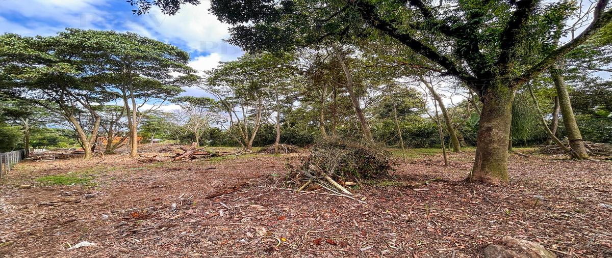Foto de terreno habitacional en , xico, xico, veracruz de ignacio de la llave, 27750615 foto 04 Foto de terreno habitacional en venta en , xico, xico, veracruz de ignacio de la llave, 27750615 No. 04