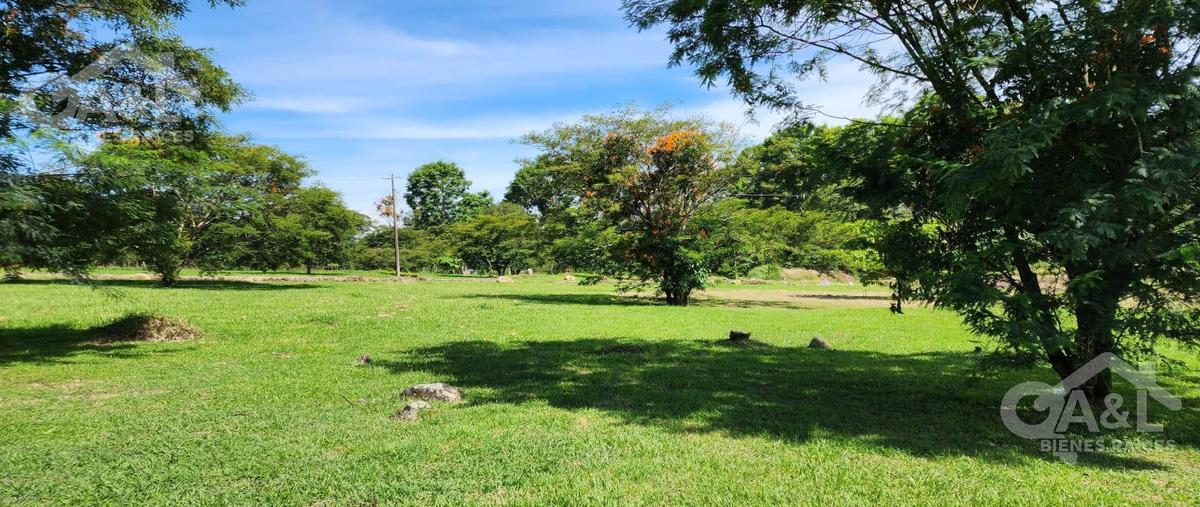 Foto de terreno habitacional en venta en  , xico, xico, veracruz de ignacio de la llave, 0 No. 03