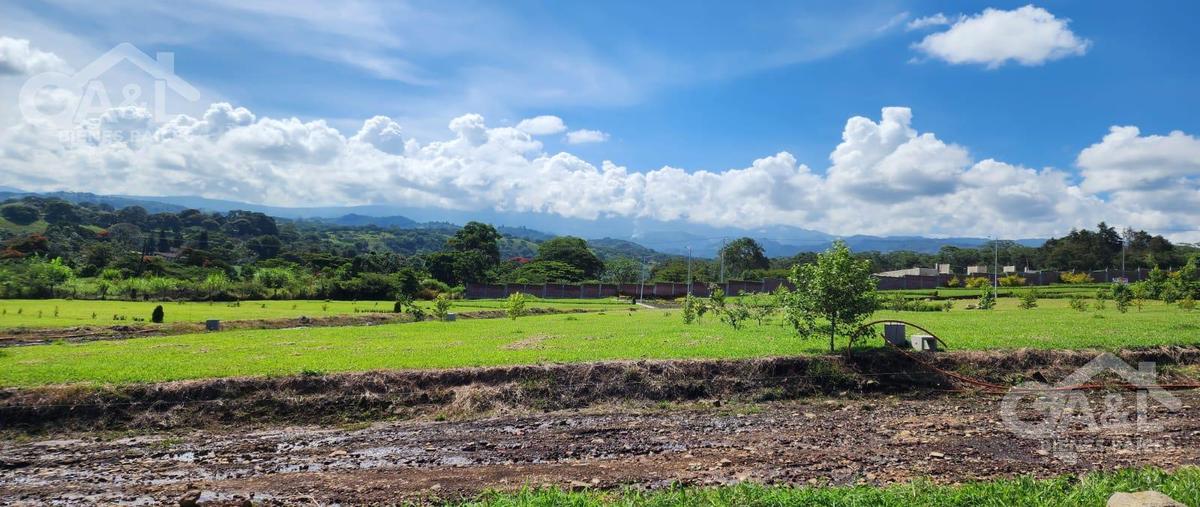 Foto de terreno habitacional en venta en  , xico, xico, veracruz de ignacio de la llave, 0 No. 04