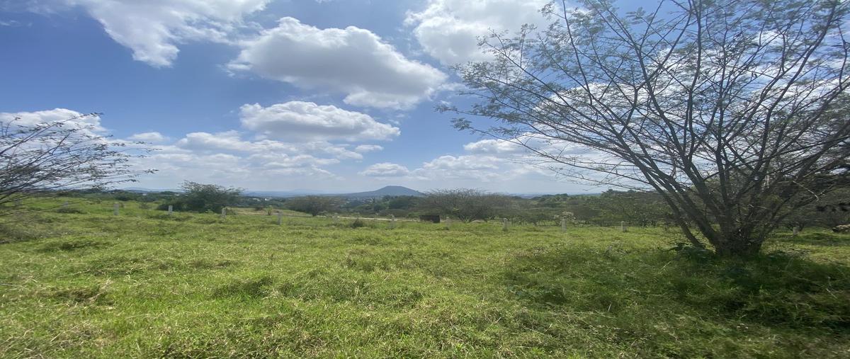 Foto de terreno habitacional en , xico, xico, veracruz de ignacio de la llave, 0 foto 01 Foto de terreno habitacional en venta en , xico, xico, veracruz de ignacio de la llave, 0 No. 01