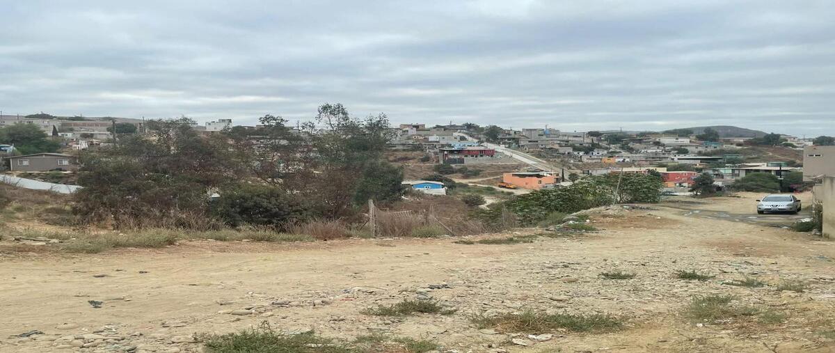Foto de terreno habitacional en venta en  , xicotencatl leyva, tijuana, baja california, 30103211 No. 03