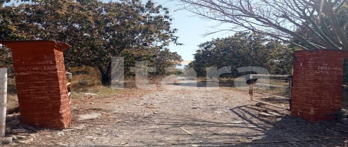 Foto de terreno habitacional en venta en  , xicotencatl, xicoténcatl, tamaulipas, 0 No. 03