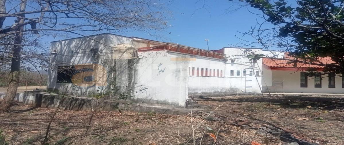 Foto de terreno habitacional en venta en  , xicotencatl, xicoténcatl, tamaulipas, 0 No. 05