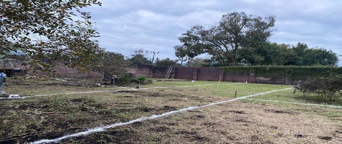 Foto de terreno habitacional en venta en  , xicotepec de juárez centro, xicotepec, puebla, 30341021 No. 03