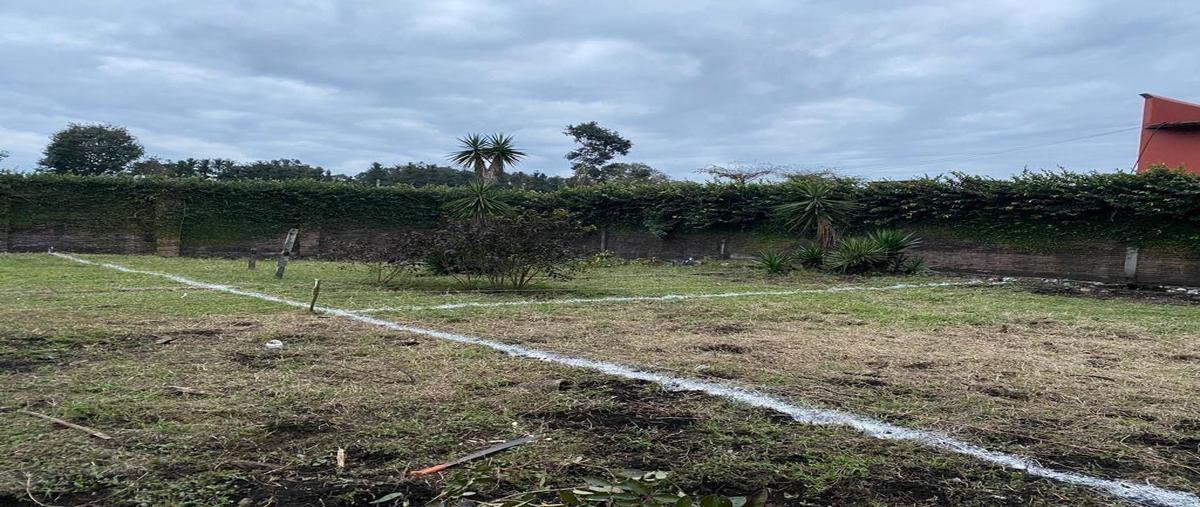 Foto de terreno habitacional en venta en  , xicotepec de juárez centro, xicotepec, puebla, 30341021 No. 04