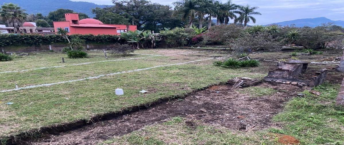 Foto de terreno habitacional en venta en  , xicotepec de juárez centro, xicotepec, puebla, 30341021 No. 05
