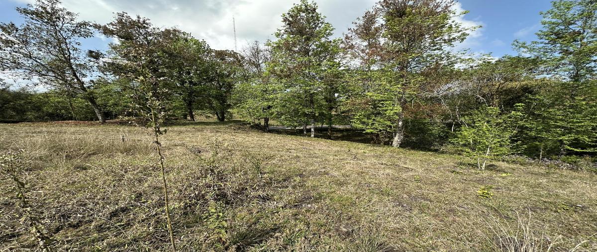 Foto de terreno habitacional en venta en  , xicotepec de juárez centro, xicotepec, puebla, 0 No. 03