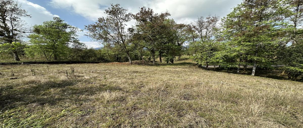 Foto de terreno habitacional en , xicotepec de juárez centro, xicotepec, puebla, 0 foto 01 Foto de terreno habitacional en venta en , xicotepec de juárez centro, xicotepec, puebla, 0 No. 01