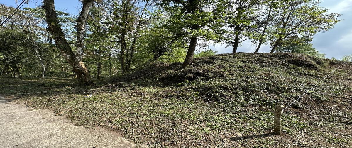 Foto de terreno habitacional en , xicotepec de juárez centro, xicotepec, puebla, 0 foto 03 Foto de terreno habitacional en venta en , xicotepec de juárez centro, xicotepec, puebla, 0 No. 03