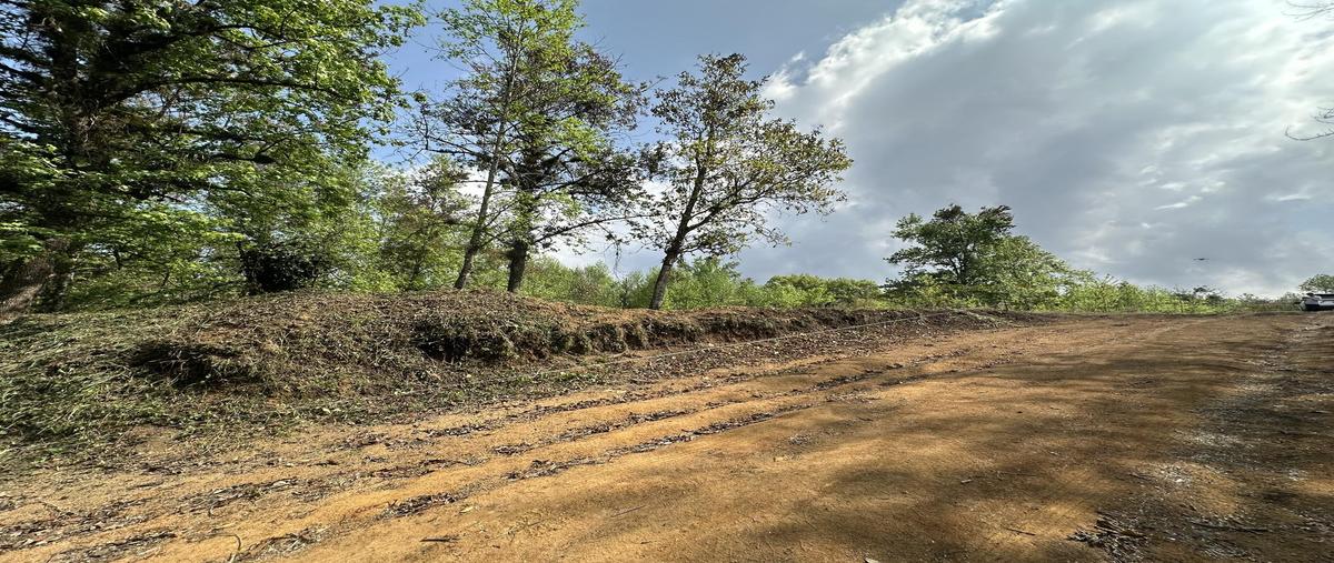 Foto de terreno habitacional en , xicotepec de juárez centro, xicotepec, puebla, 0 foto 05 Foto de terreno habitacional en venta en , xicotepec de juárez centro, xicotepec, puebla, 0 No. 05